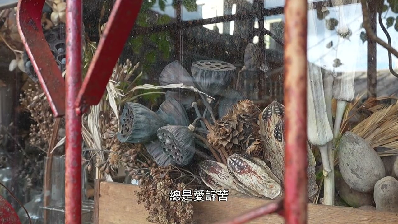 不要向任何人訴苦