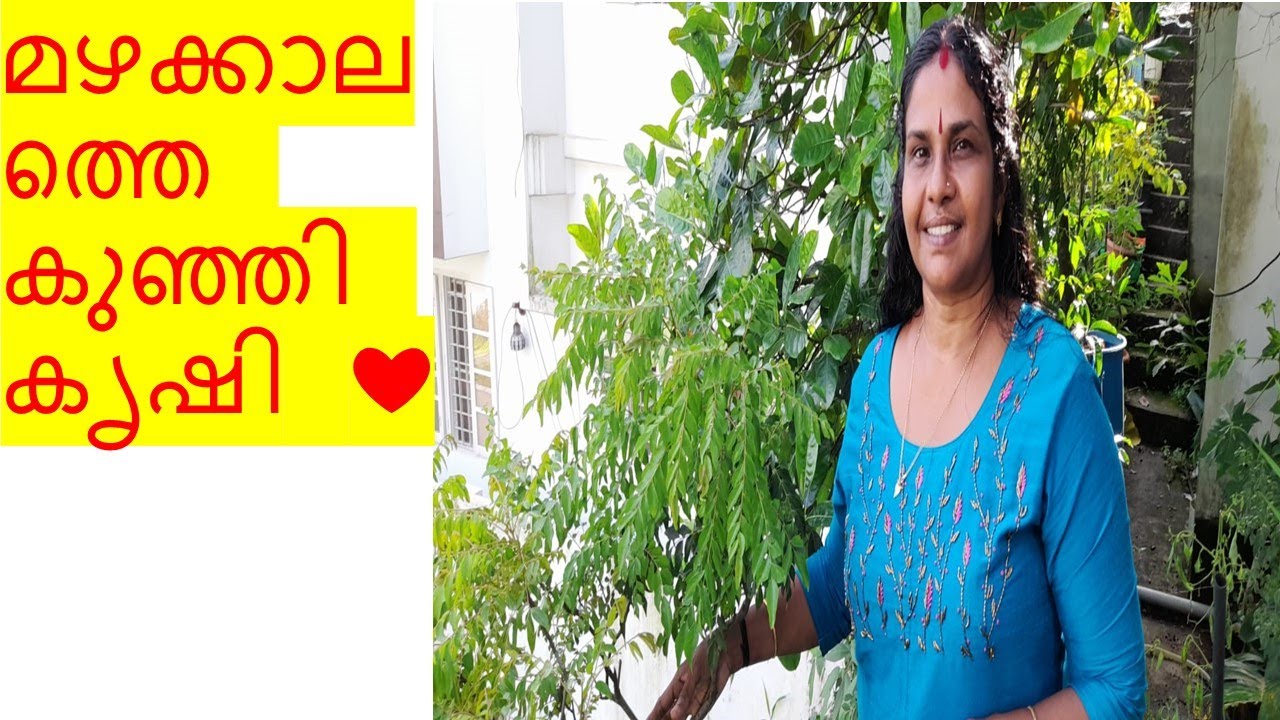 മഴക്കാലത്തെ കുഞ്ഞി കൃഷി ❤