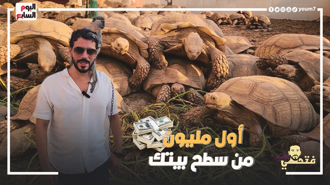 من سطح بيتك هتعمل أسرع مليون .. حمادة فكر بره الصندوق وتاجر في السلاحف وباع بـ #الدولار
