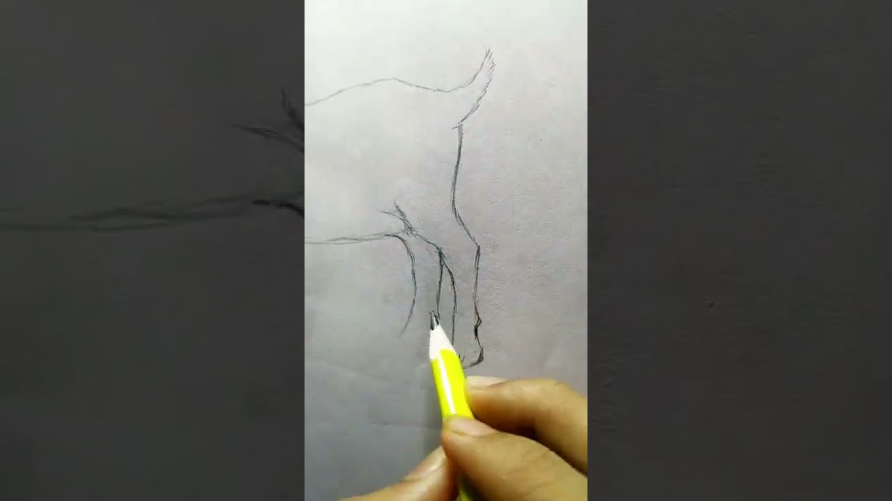 How to draw a goat | Pencil shading | #shorts