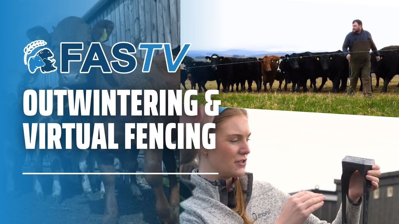 FAS TV Series 5 Ep 3 - Outwintering & Virtual Fencing