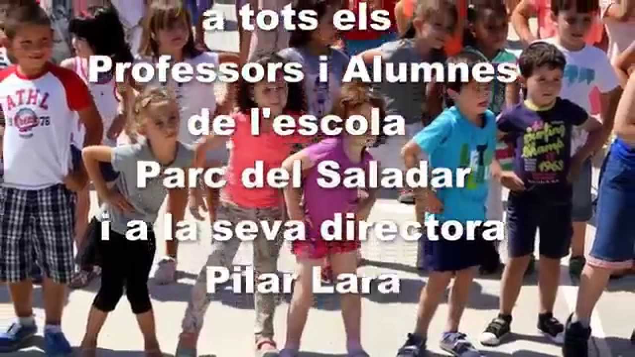 Flashmob Escola Parc del Saladar 2015