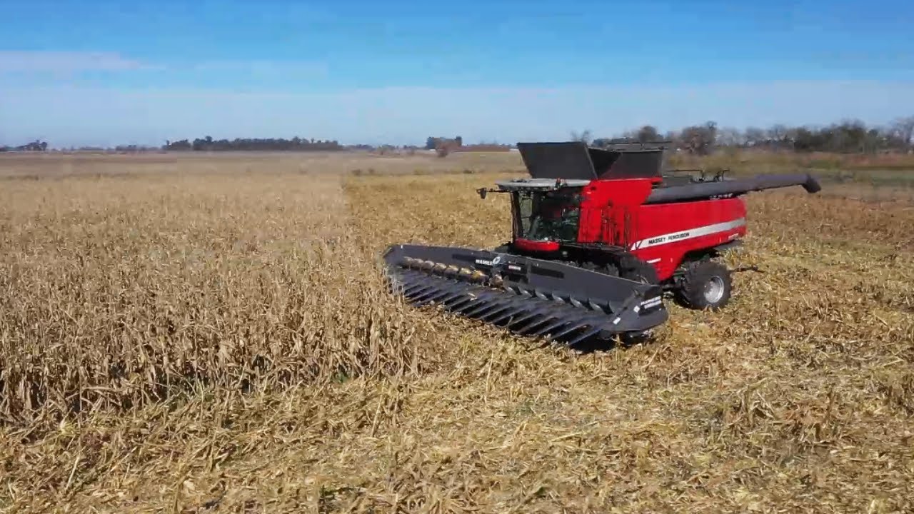 Cosechadora Axial MF 9895: Alto rendimiento, Tecnolog&iacute;a de avanzada y Eficiencia para tu campo.