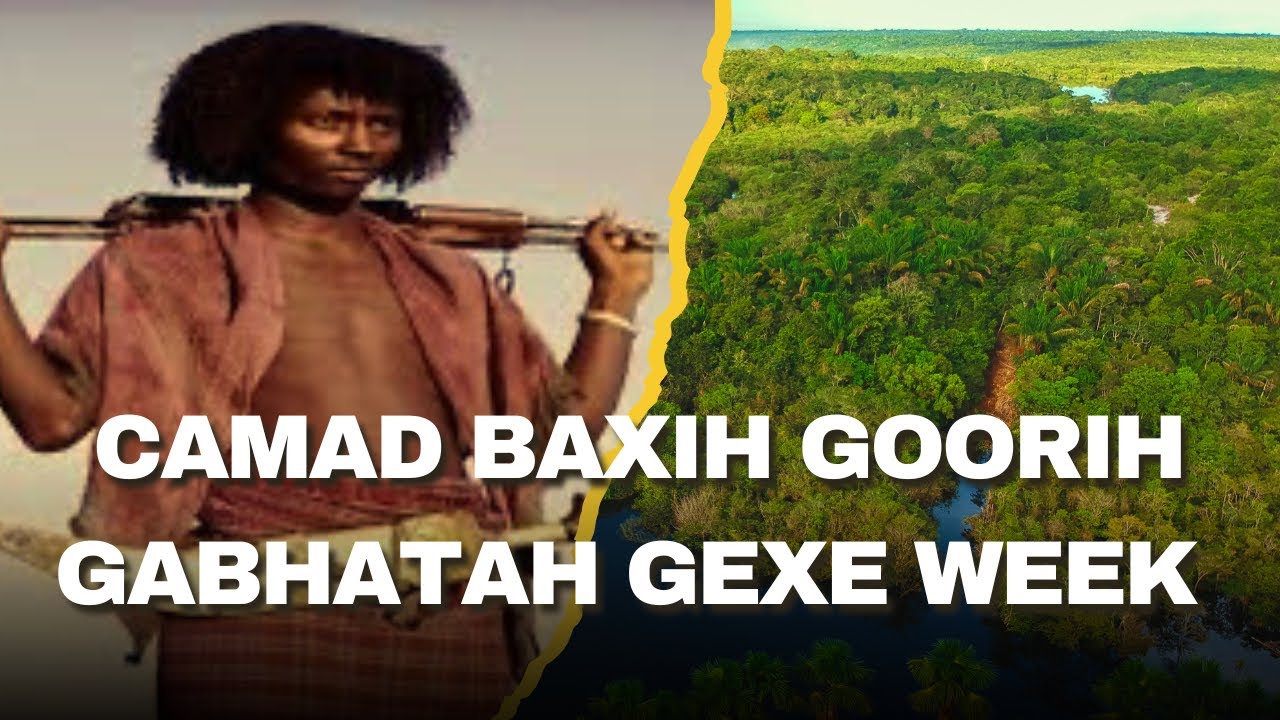QALI QOLIS/QAFAR KASSOW/CAMAD-BAXIH GOORIH GABHATAH GEXE WEEK !