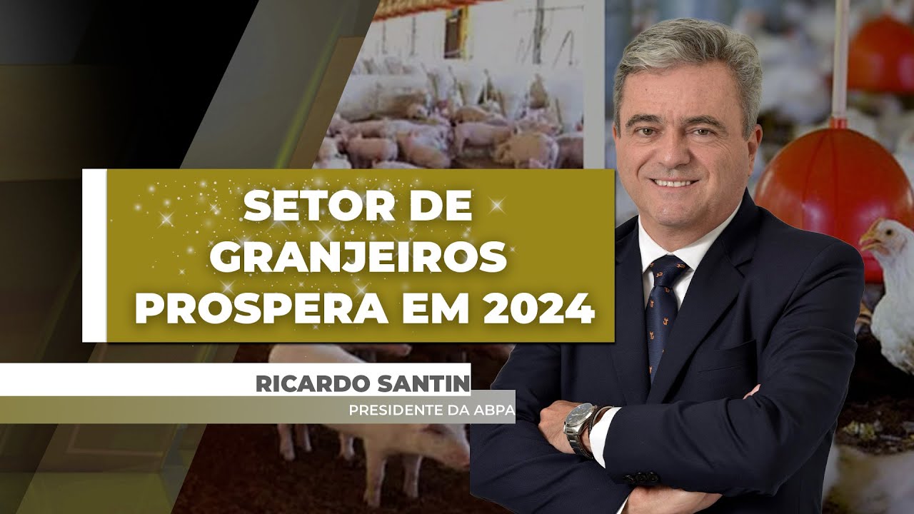 Suinocultura e avicultura de corte e postura têm bom desempenho em 2024, e ABPA projeta bons resu...