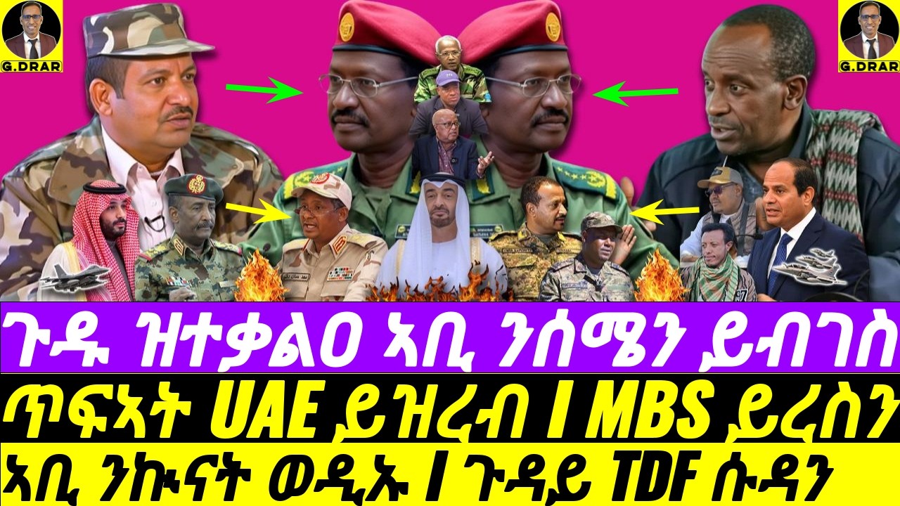 Feb-10 ጉዱ ዝተቃልዐ ኣቢ ንሰሜን ይብገስ I ጥፍኣት UAE ይዝረብ I MBS ይረስን I ኣቢ ንኲናት ወዲኡ I ጉዳይ TDF ሱዳን