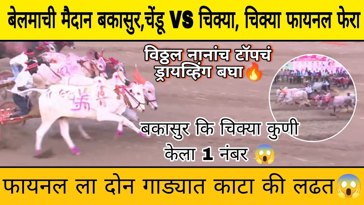 बेलमाची मैदान बकासुर,चेंडू VS चिक्या, चिक्या फायनल फेरा😱फायनल ला दोन गाड्यात काटा की लढत