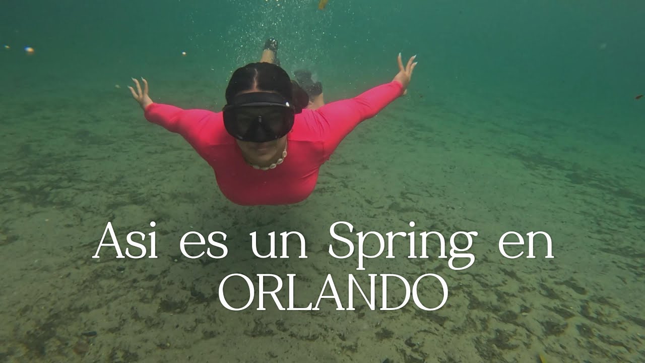 Nadando en aguas cocodrilosas