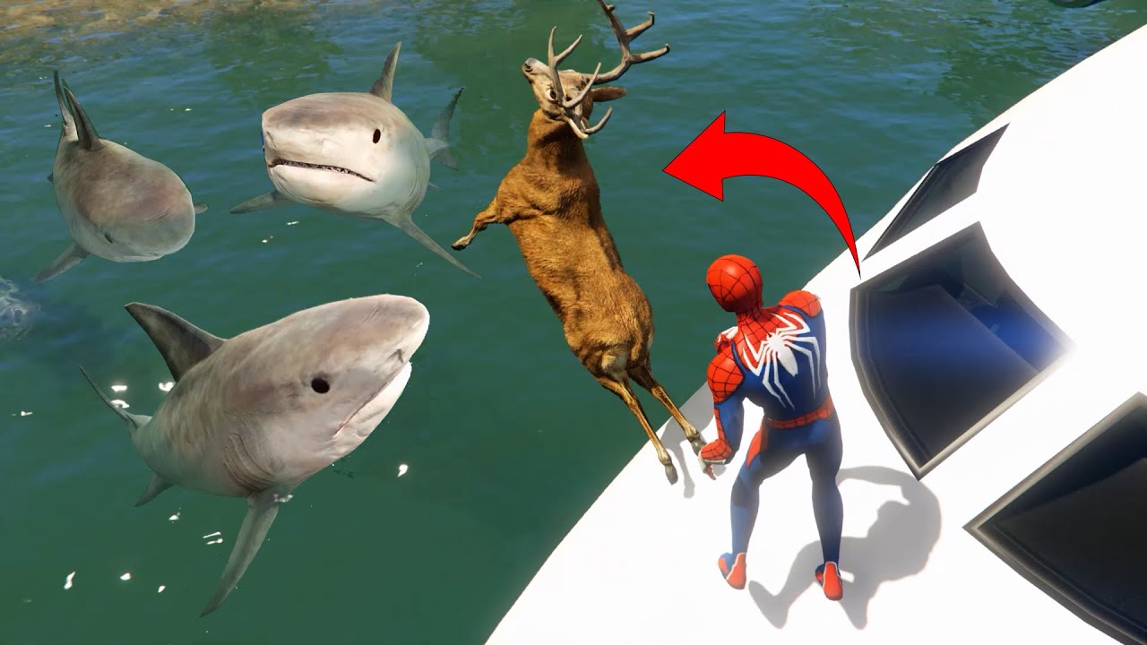 سبايدرمان يربي اسماك القرش في بحيرة طائرة ويسقط والقروش Spiderman raises sharks GTA V
