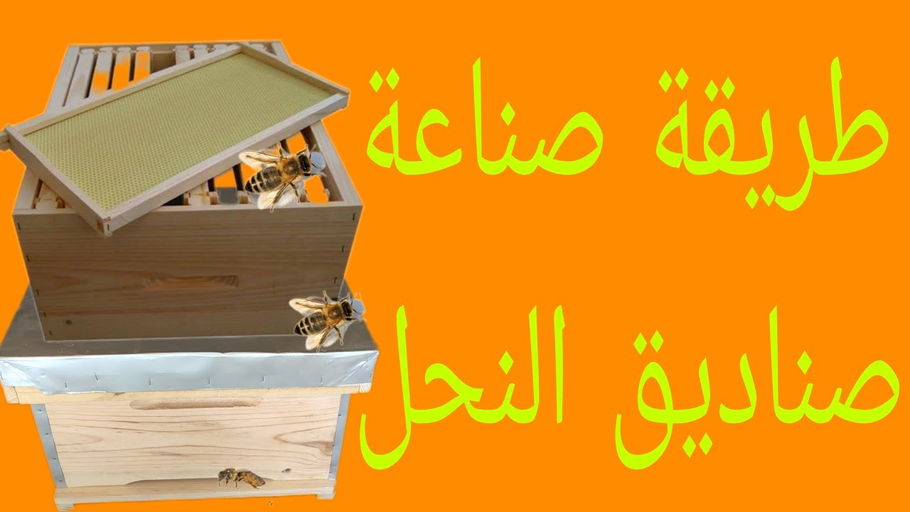 كيفية صنع صناديق النحل بطريقة سهلة جداا🌻🐝