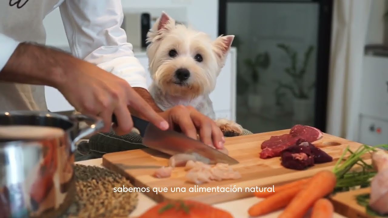 Wild Balance - Alimentaci&oacute;n Natural para Perros y Gatos - Latas Filosof&iacute;a Barf