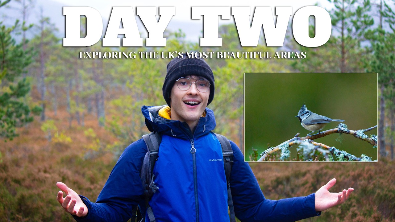 We Found One of the UK’s Rarest Birds in the Cairngorms