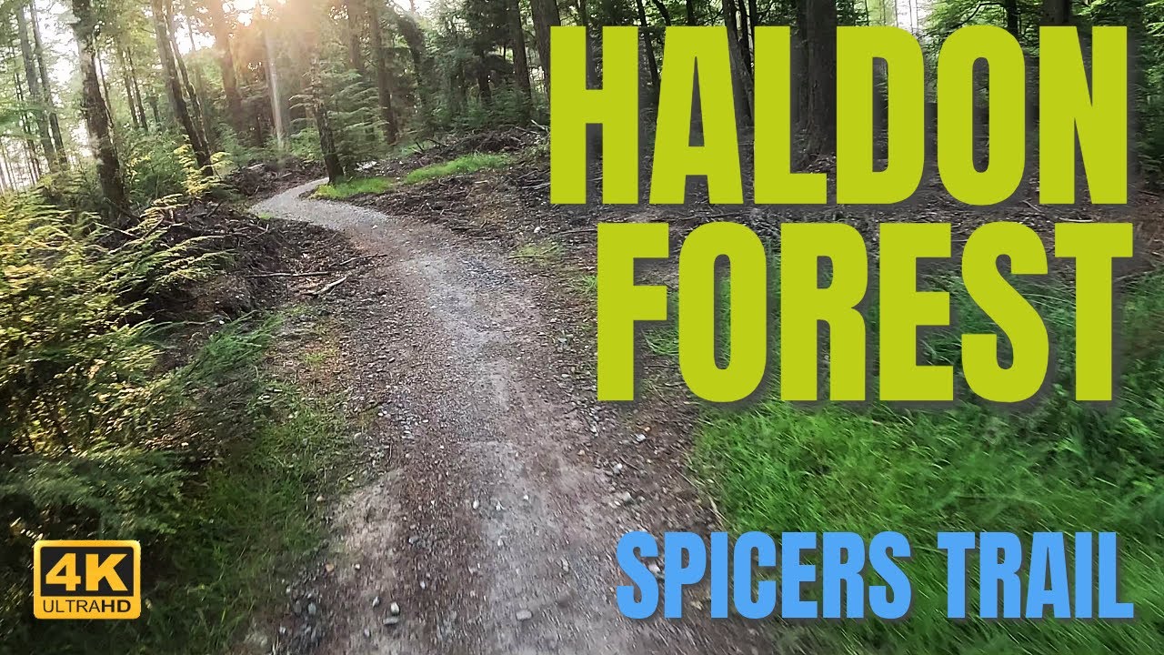 Spicers Trail at Haldon Forest Park