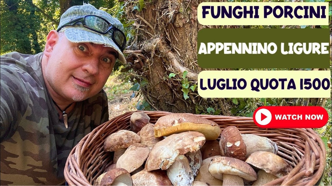 Appennino Ligure luglio quota 1500