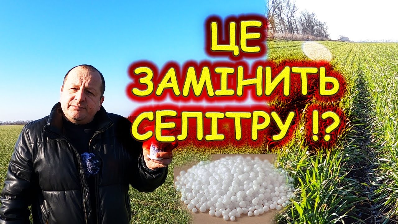 🤔Чим ЗАМІНИТИ яка ВРОЖАЙНІСТЬ без #СЕЛІТРИ #КАРБАМІДУ #КАСУ без добрива буде діло чи ні⁉️