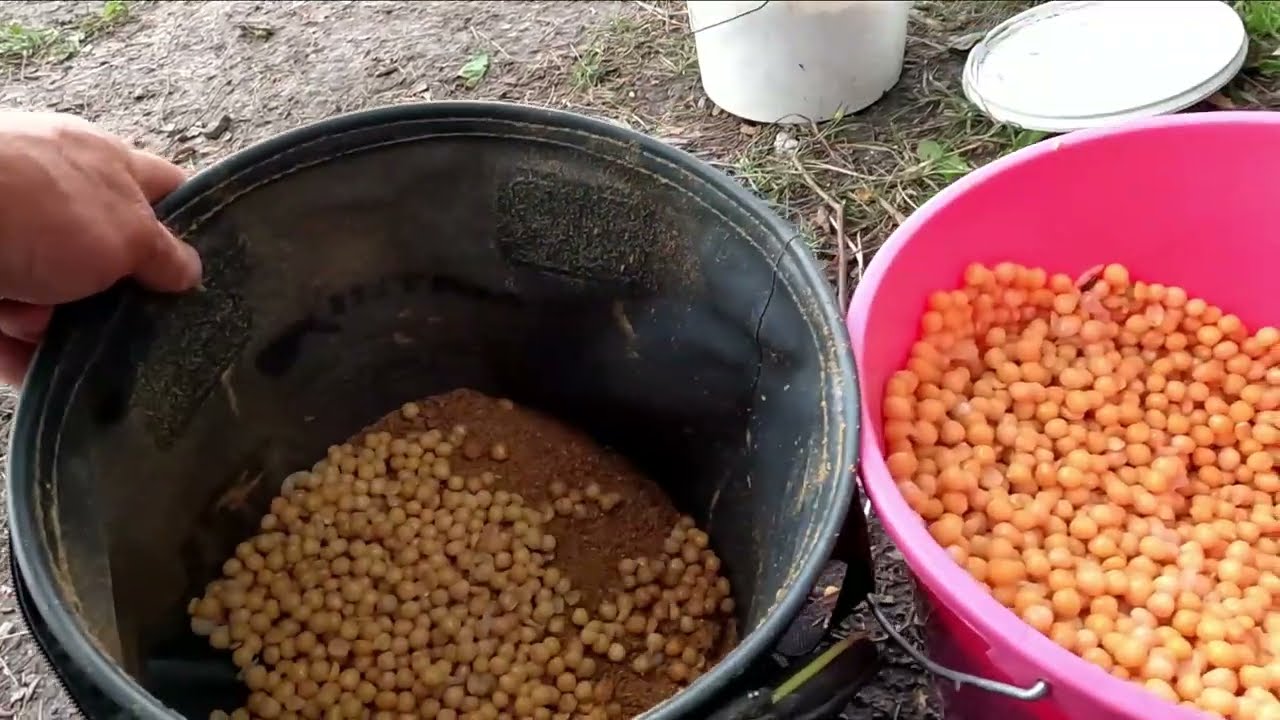 Karšiu žvejyba.Ežere boiliukais