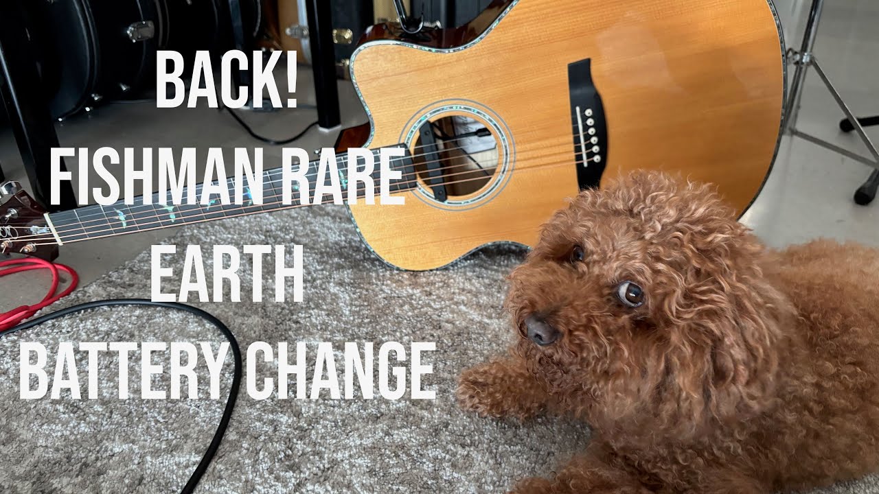 We (Bender and I) are Back! Fishman Rare Earth Active Pickup Battery Replacement and some updates