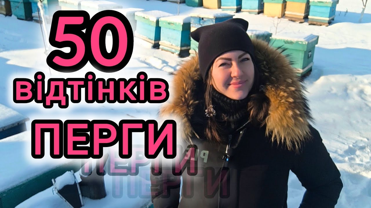 Збір перги, баланс добра і зла. Від заробітку до просадки розвитку тонка грань. Важливі моменти