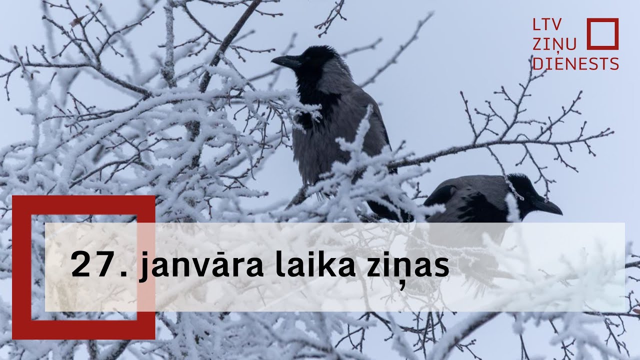 27. janvāra laika ziņas