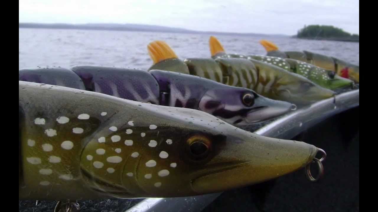 Lucky Lures Esox swimbait - Sweden 2011