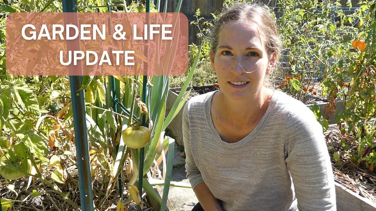 Garden Update 2025: Cherry Tomatoes, Peppers, & Winter Squash – What’s Thriving & What’s Failing?