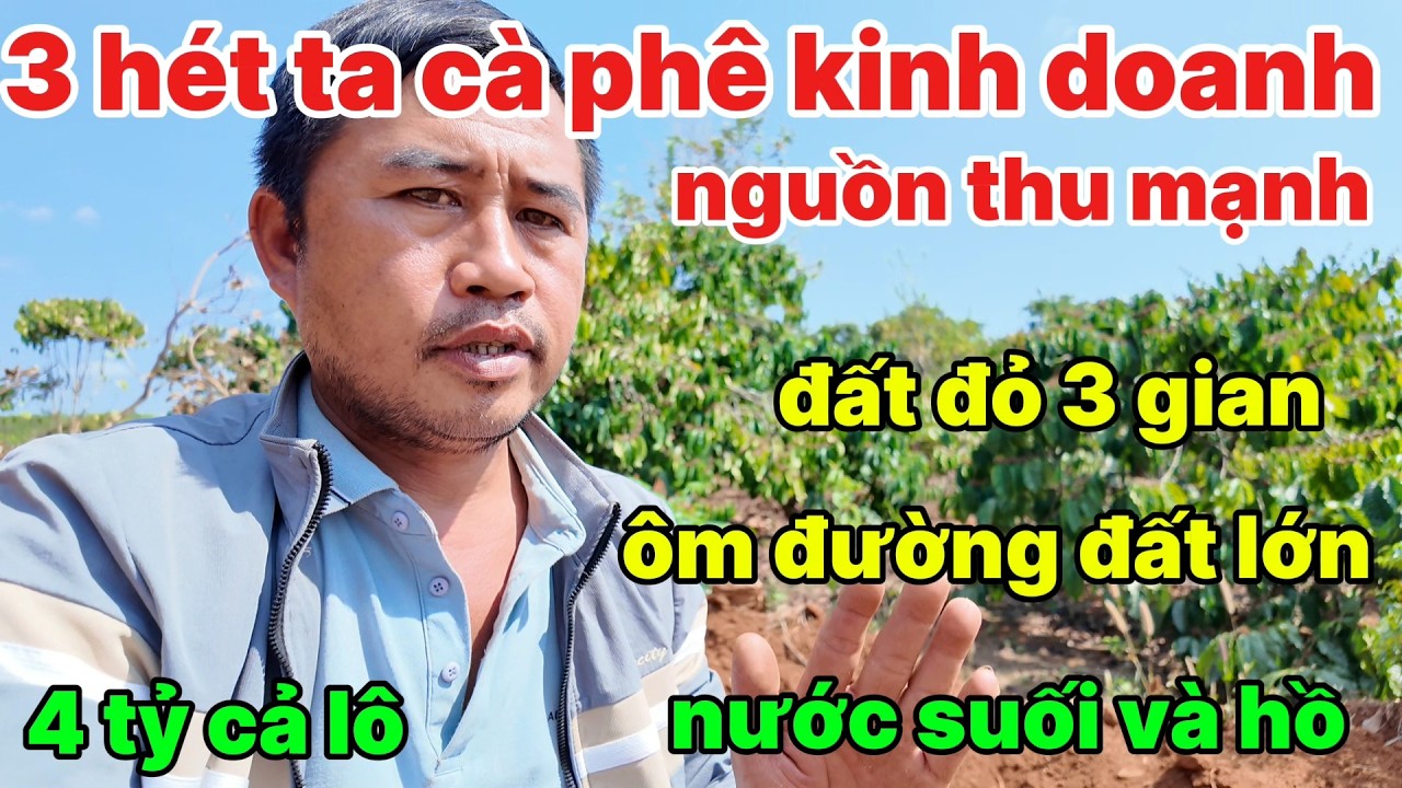 02, vườn cà phê kinh doanh 3 hét ta ,nguồn thu mạnh, đất đỏ 3 gian,ôm đường, nước thoải mái
