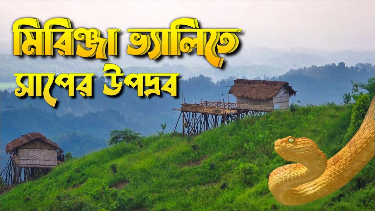 মিরিঞ্জা ভ্যালি ভ্রমণের অদ্ভুত অভিজ্ঞতা ! Mirinja Valley Tour । Mirinja Valley Bandarban