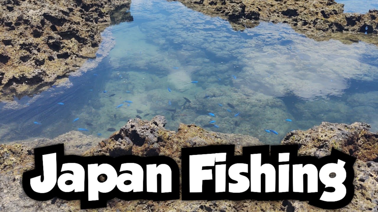Fishing Tide Pools on Okinawa | Japan Fishing 🇯🇵