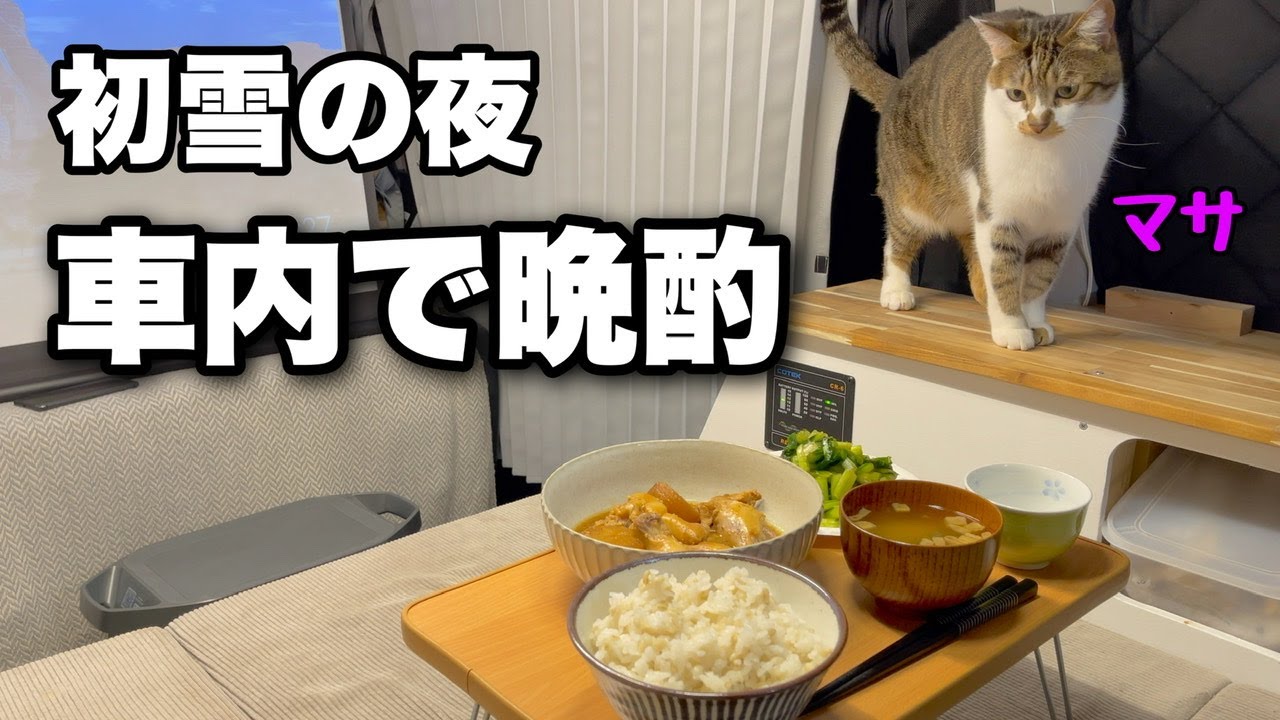 冬の車内で猫と晩酌だけのつもりが雪中車中泊をしてしまいましたｗ　今回のマサは料理長です。