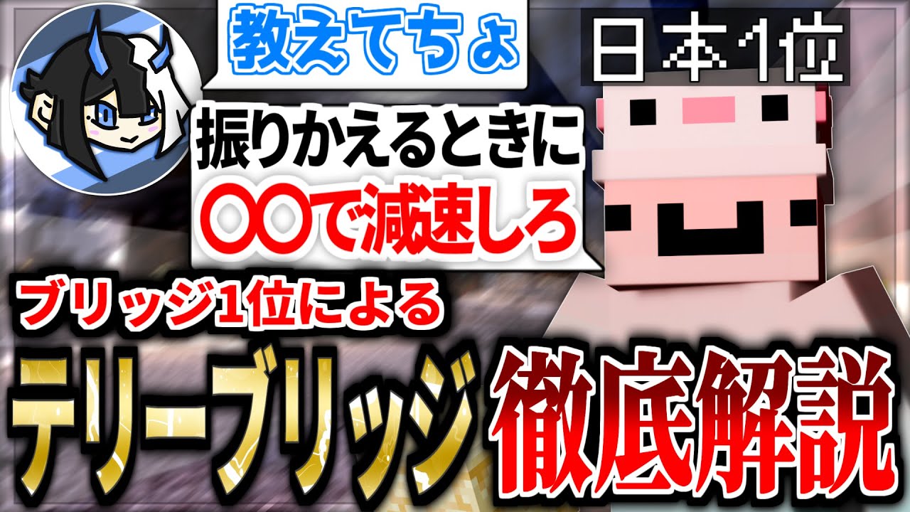 【マイクラ】日本1位に直接テリーブリッジを教えてもらった。