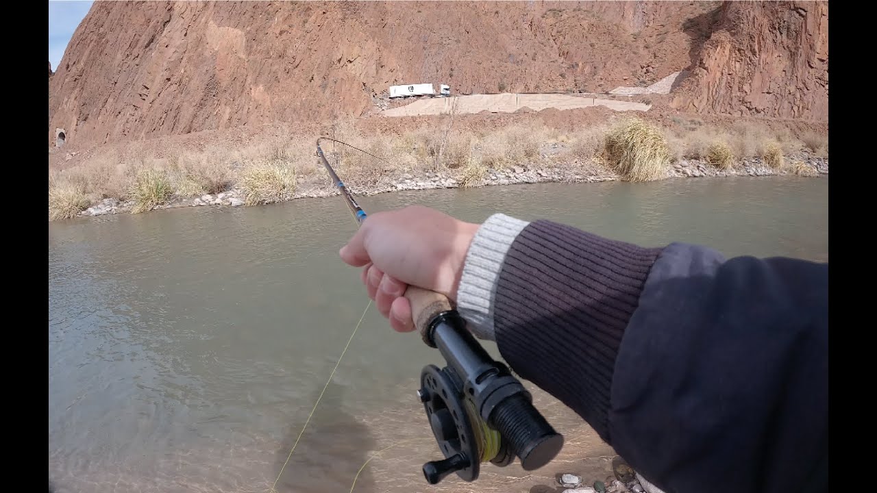 PESCA CON MOSCA RIO MENDOZA / JORNADA DE VARIAS CAPTURAS