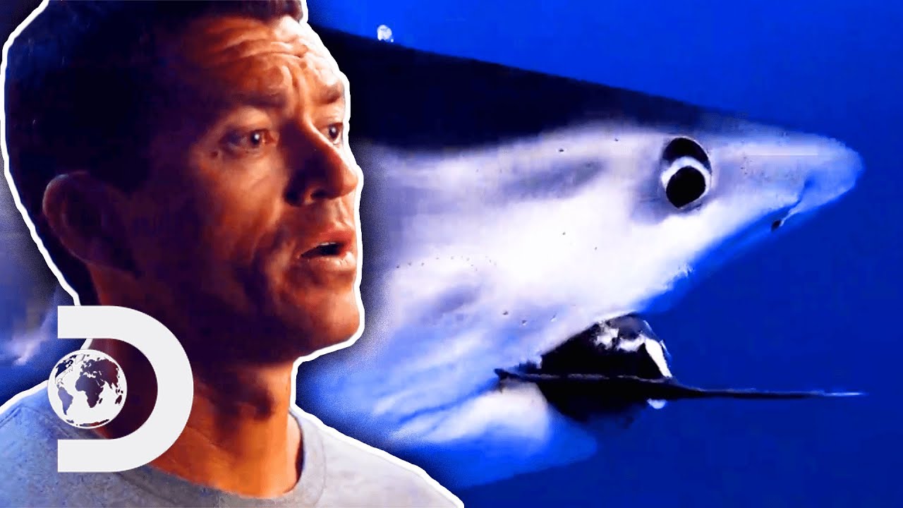 Distracting Sharks From Eating Their Ahi Tuna | Deadliest Catch: Bloodline