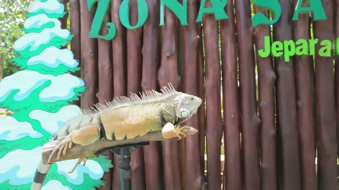 JEPARA OURLAND PARK - TEMPAT BERENANG DAN LIBURAN PANTAI MURAH BERSAMA KELUARGA