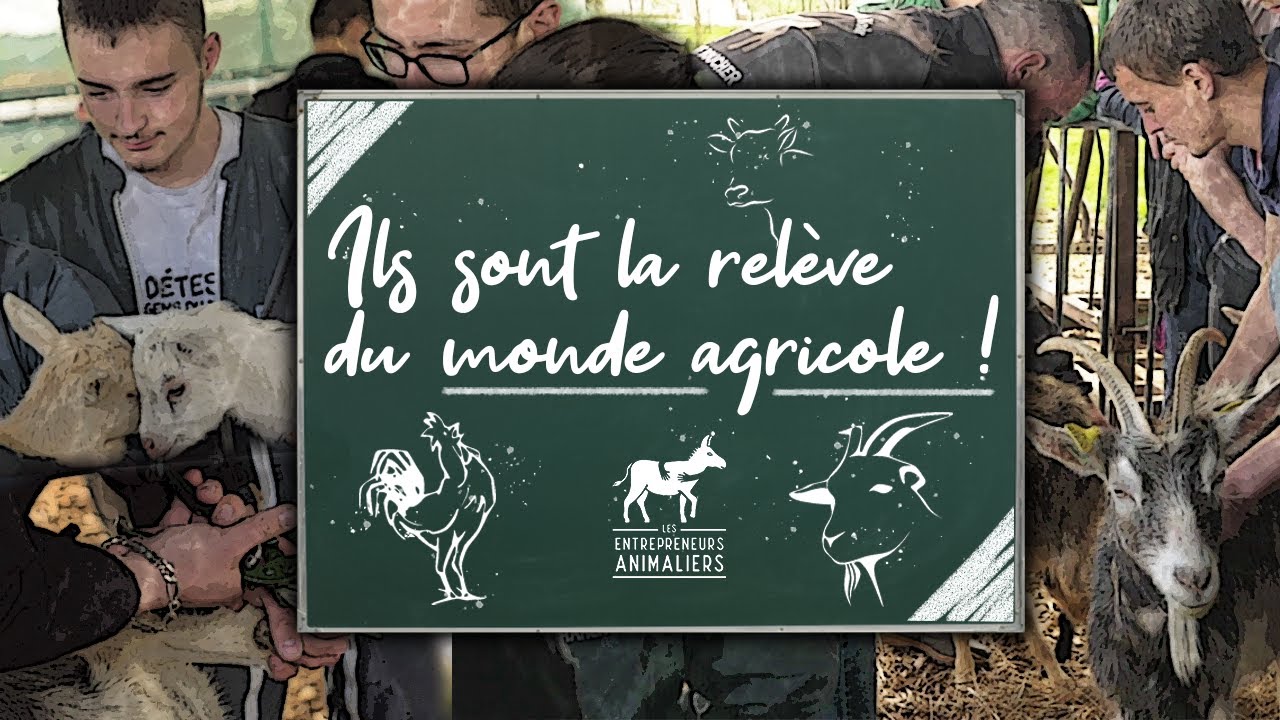 Ils sont la relève du monde agricole ! (Une journée à la MFR La Péruse)