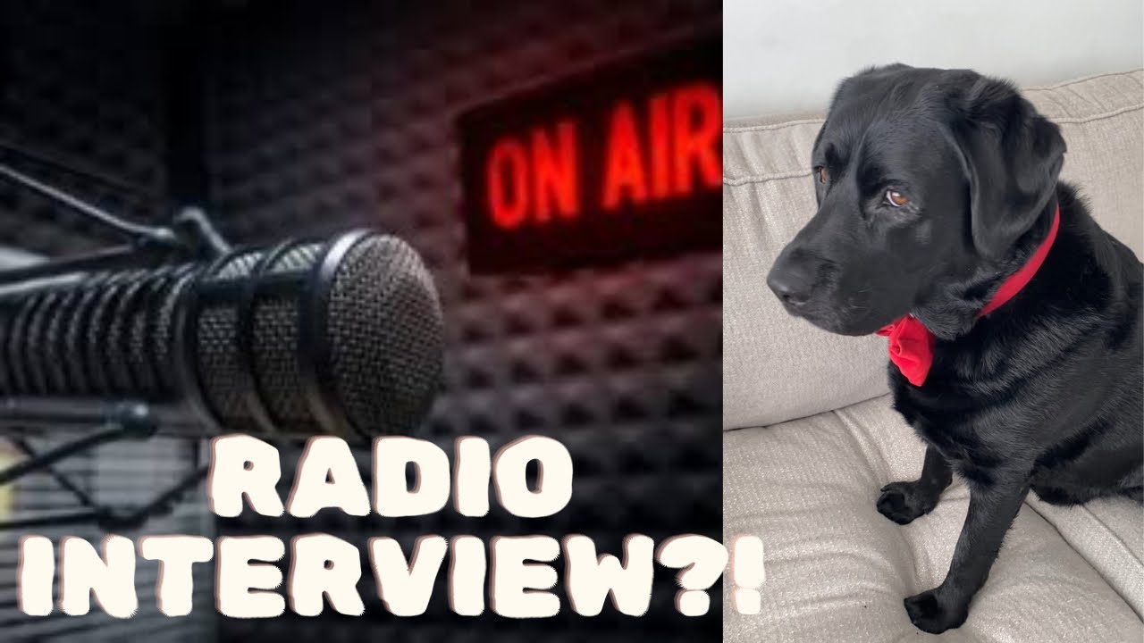 Dog is NOT HAPPY after hearing his father on the radio!! 😳