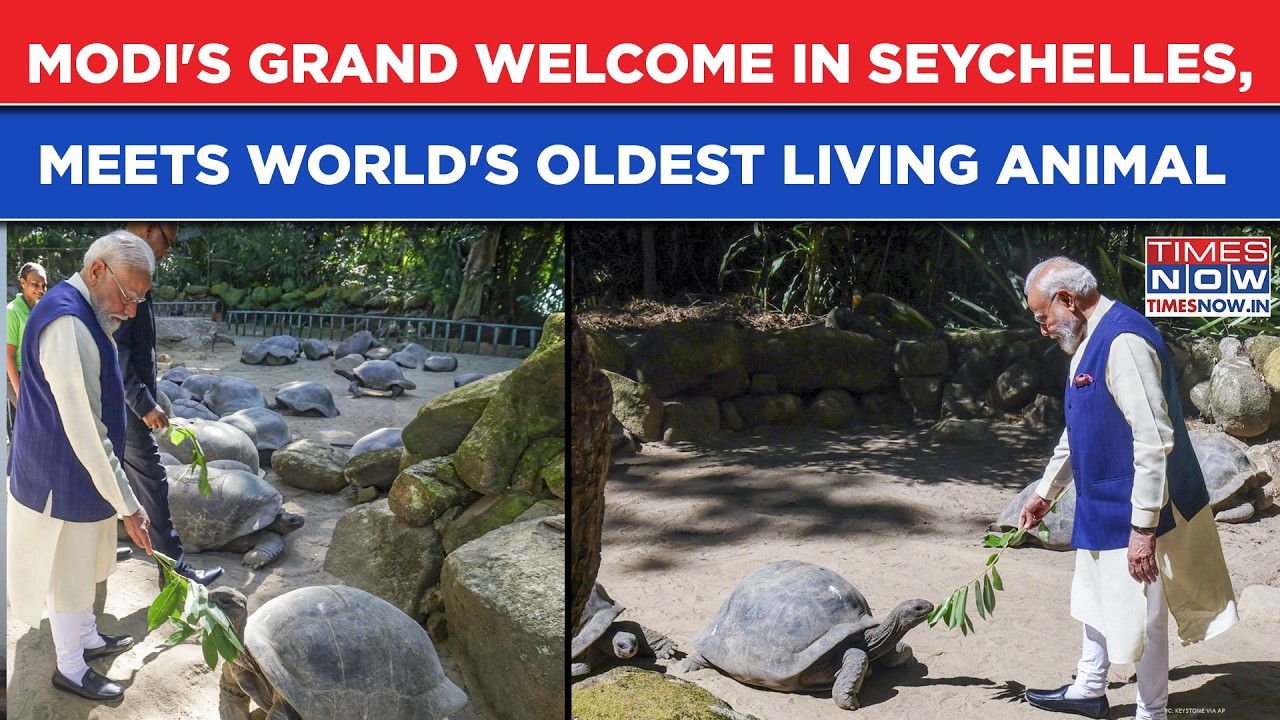 WATCH: PM Modi Meets Jonathan, The World's Oldest Living Land Animal, During Seychelles Visit