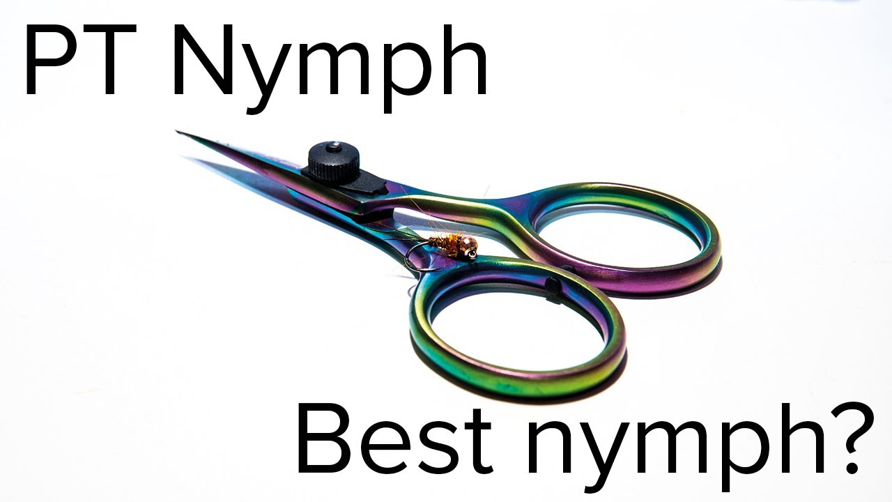 PT NYMFI | Perhonsidonta
