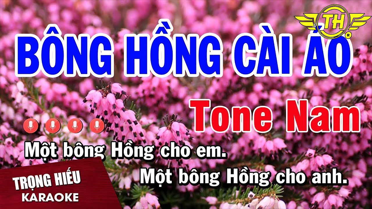 Karaoke Bông Hồng Cài Áo Tone Nam Nhạc Sống | Trọng Hiếu