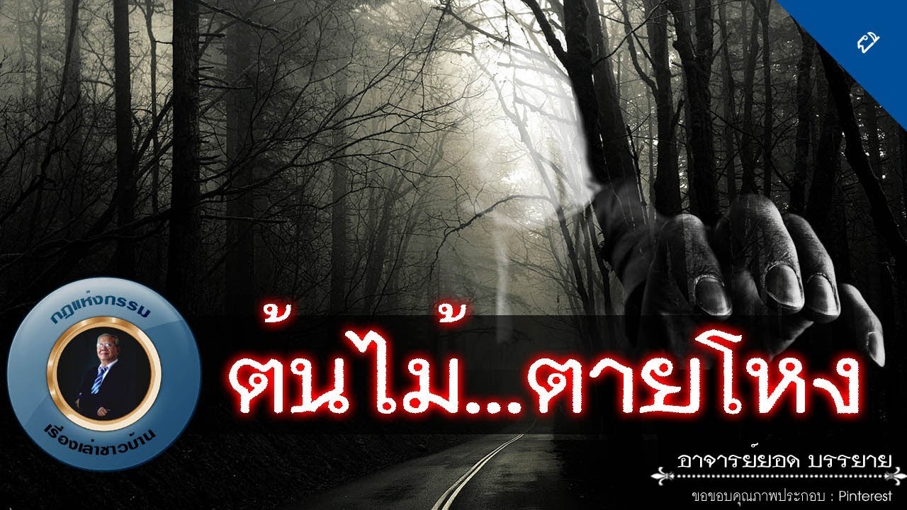 อาจารย์ยอด : ต้นไม้...ตายโหง [ผี] new