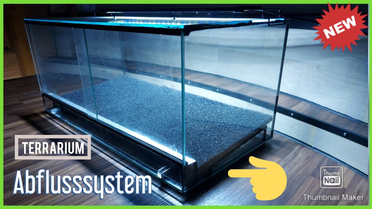 Einbau Abflusssystem (Dendrobaten Terrarium)