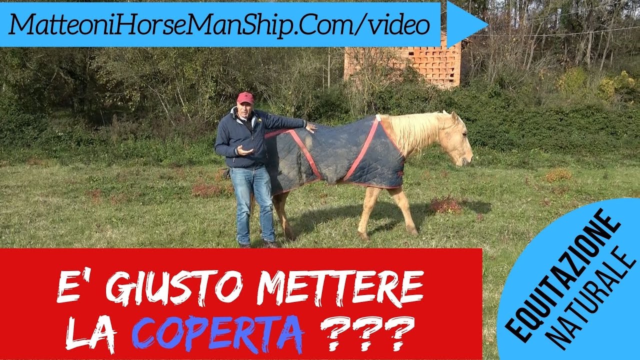 E' giusto mettere la coperta al cavallo ?