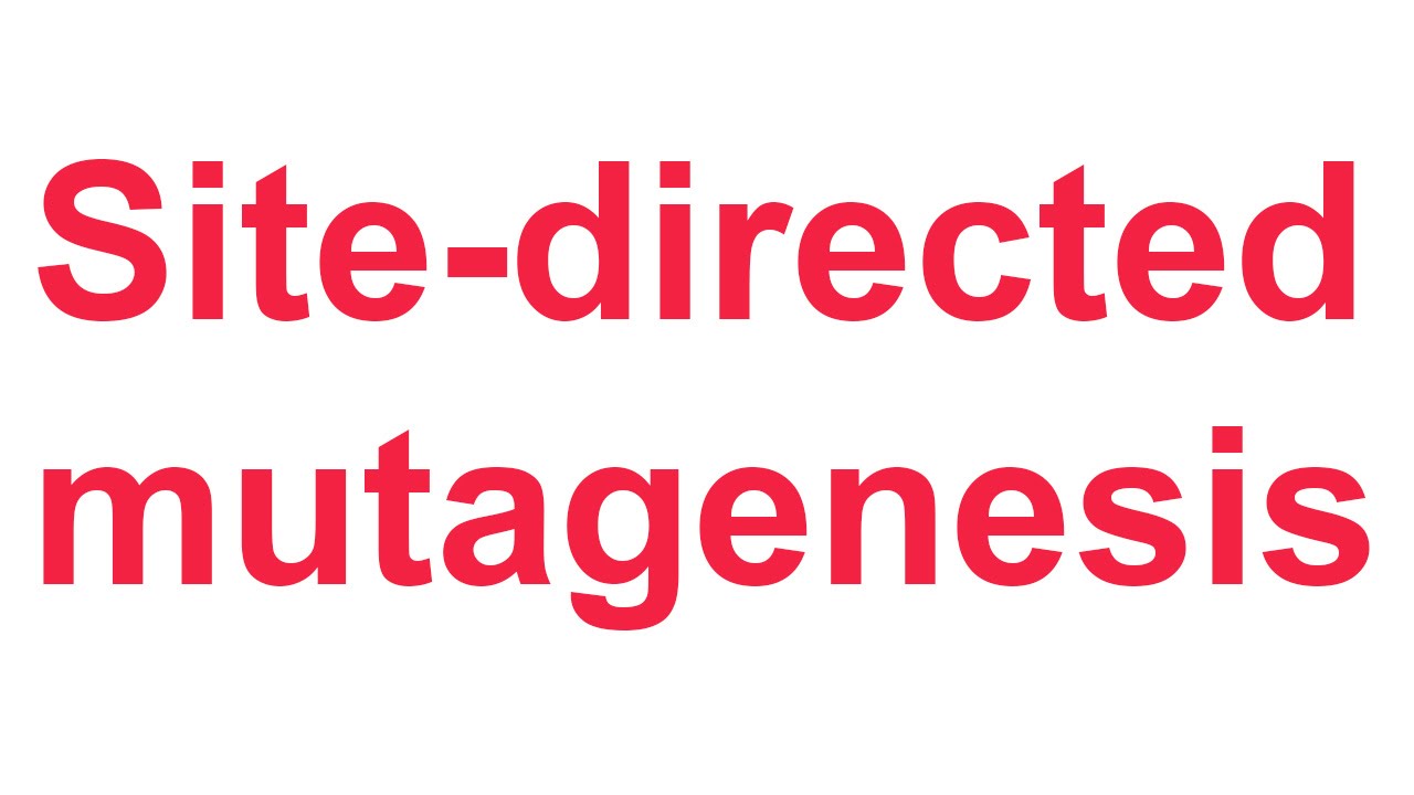 Tutorial 4: QuikChange site-directed mutagenesis (Stratagene)