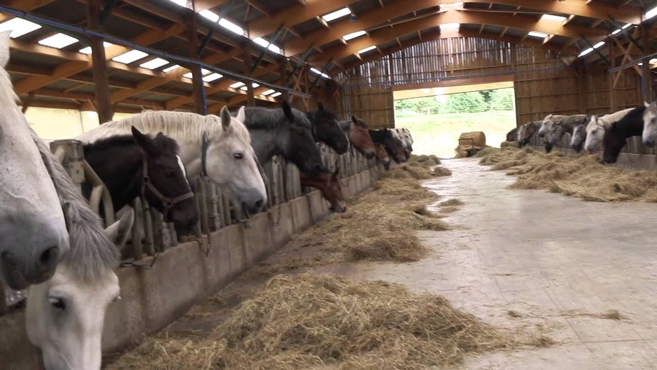 Visite chez CHEVALAIT