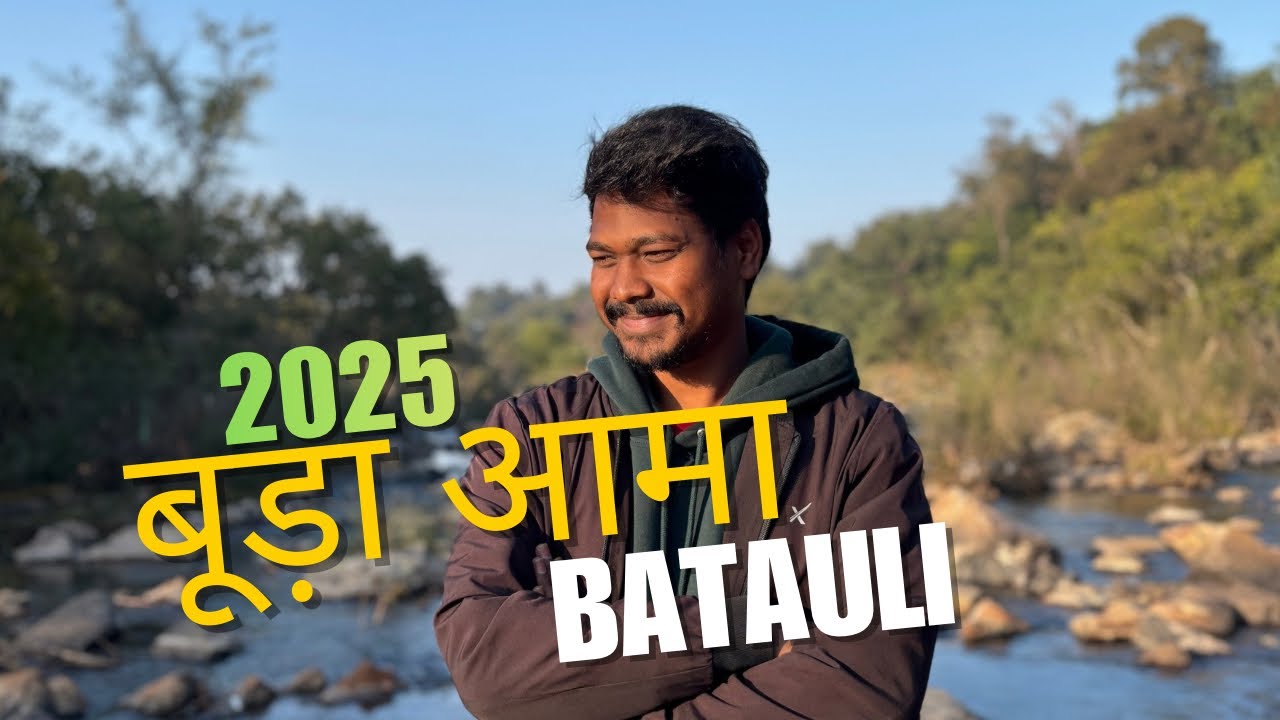 बूड़ा आमा batauli  