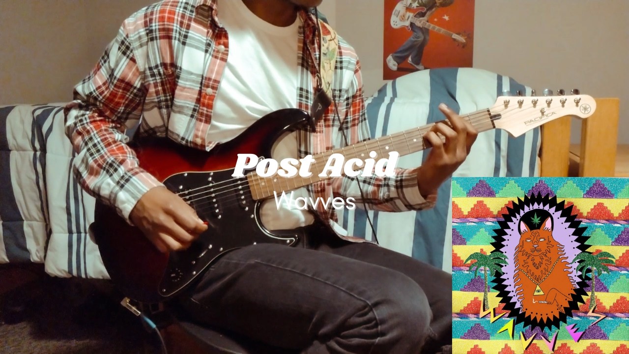 Post Acid - Wavves (Guitar Cover)