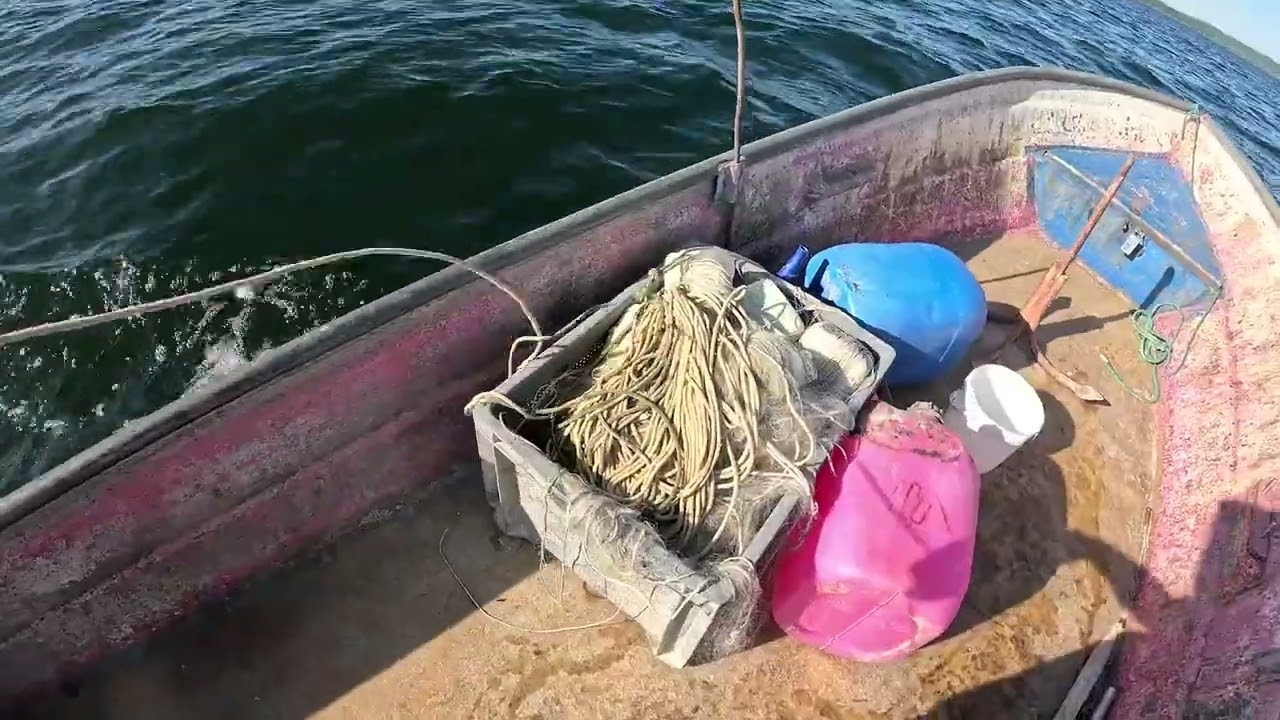 333 Jahre Ammersee Fischerei