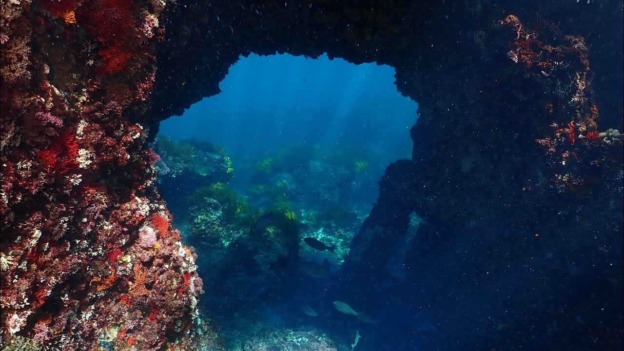 Vergulde Draeck (Gilt Dragon) Wreck Dive