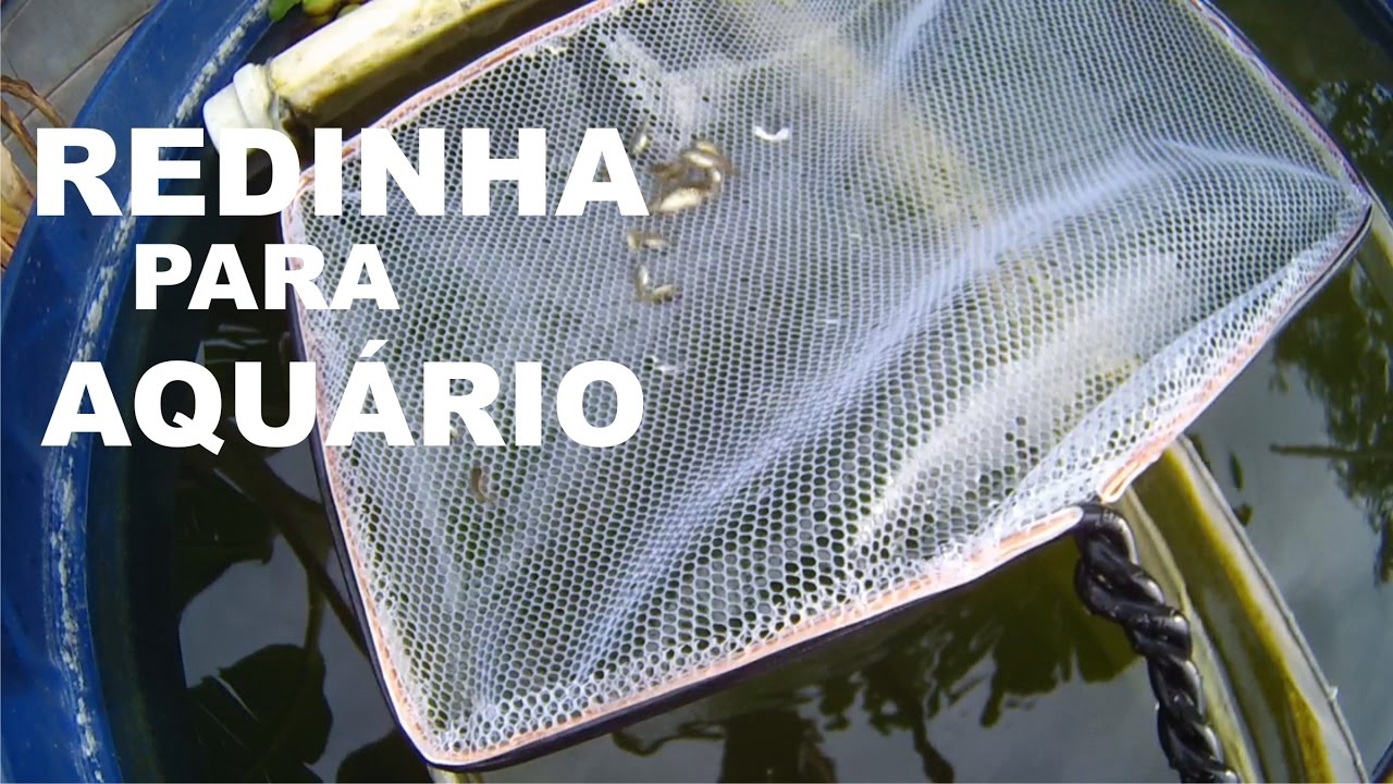 COMO FAZER REDINHA PARA AQUÁRIO