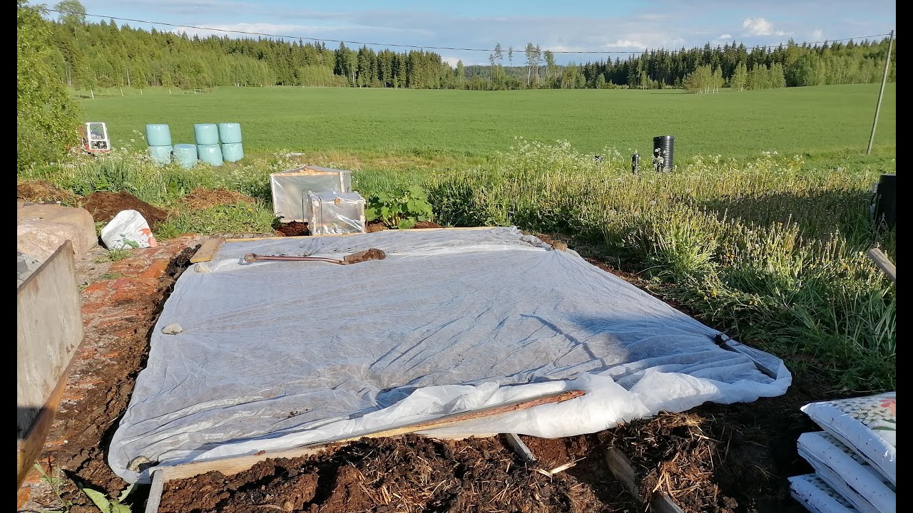 Kasvimaa: herne ja peruna maahan