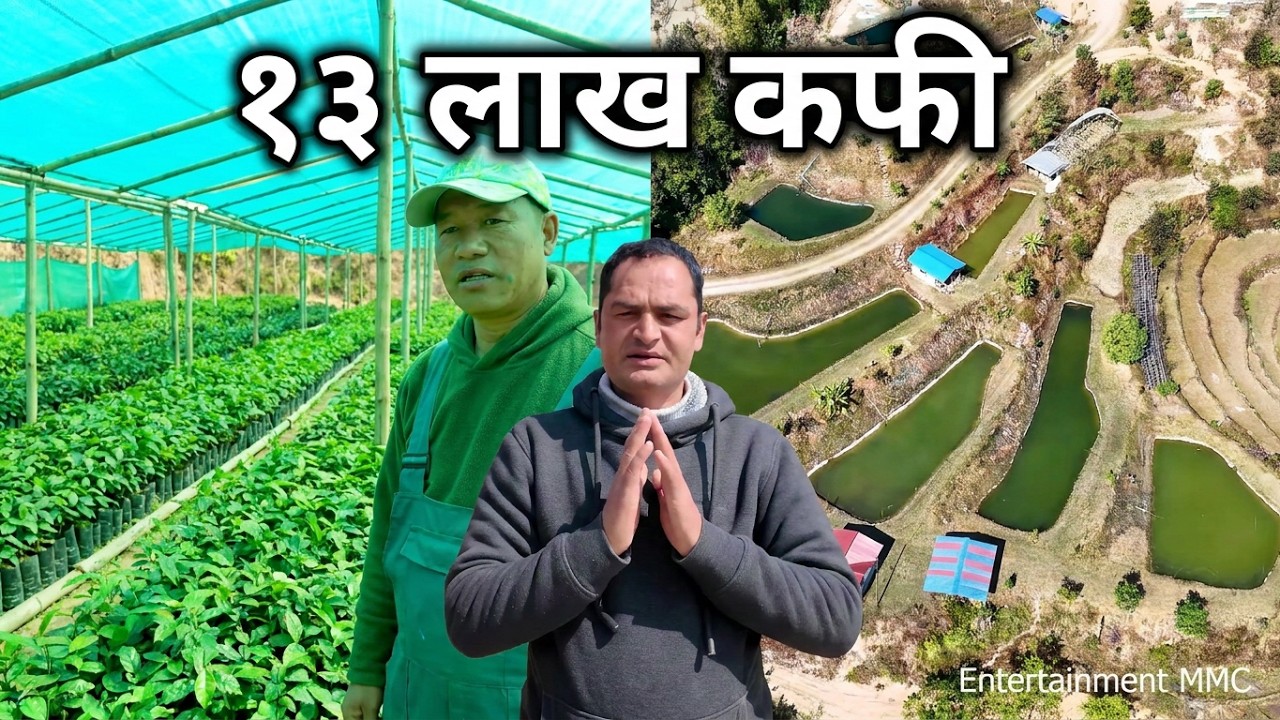 नेपालकै ठूलो कफि फार्म | एकै ठाउँमा १३ लाख भन्दा बढी कफि | माछा सङ्गै कफि खेती गर्ने यस्तो तरिका